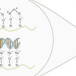 Reusing Nucleic Acid Extraction Columns