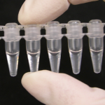 Accurate Enzymatic Assays in PCR Tubes