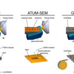 GridTape: cutting the cost of serial section Transmission Electron Microscopy systems