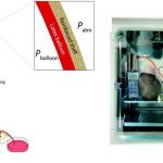 $2 microfluidic pumps made of latex balloons and stockings